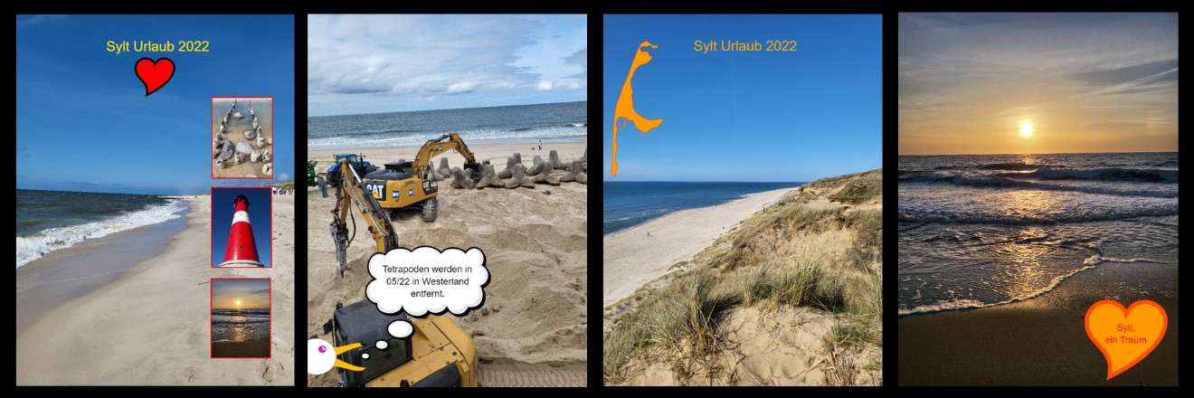 Logo von Meine-Sylt-App